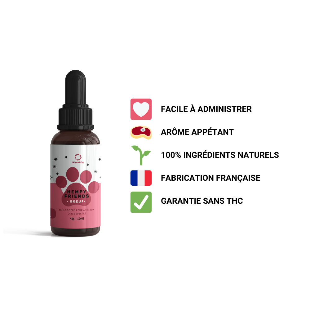 Huile CBD animaux 3% bœuf – bien-être naturel et appétence assured