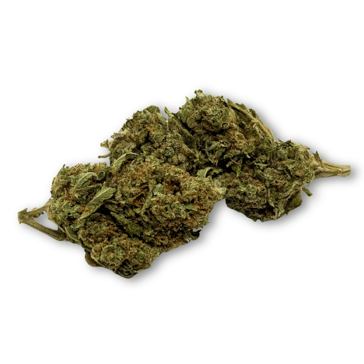 Fleur CBD Harlequin Indoor Premium Suisse – Déstockage Exclusif