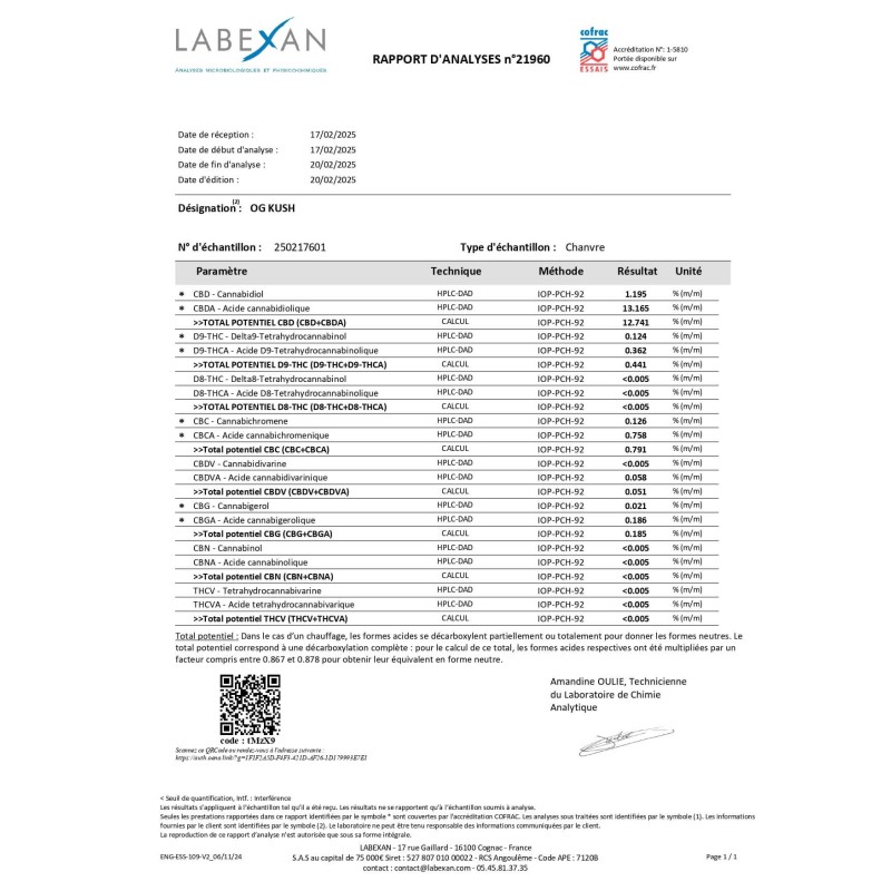 Fleur de CBD OG Kush Greenhouse | Saveurs intenses & détente naturelle