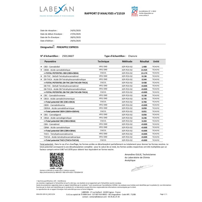 Fleur de CBD Pineapple Express Greenhouse 14 % – Saveur tropicale