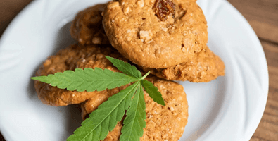 Image texte avis de l'expert