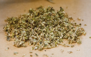 Image texte avis de l'expert