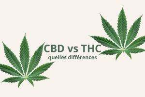CBD vs THC : quelles différences ?